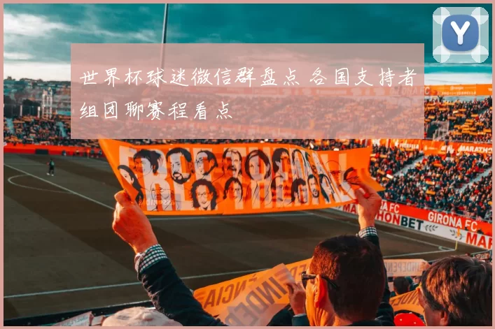 世界杯球迷微信群盘点 各国支持者组团聊赛程看点