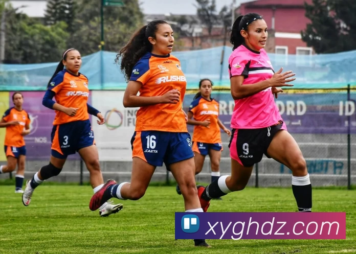 半岛在线网页版登录平台生态图