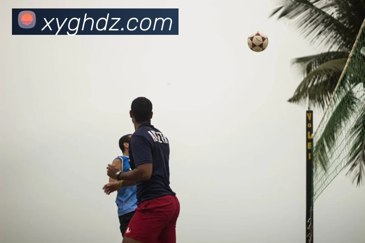 半岛在线网页版登录全站App 半岛在线网页版登录全站App